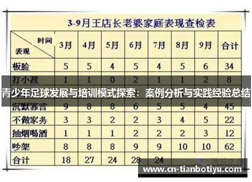 青少年足球发展与培训模式探索：案例分析与实践经验总结