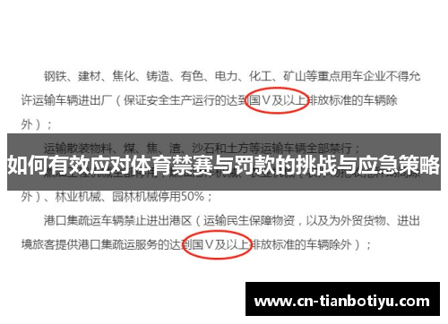 如何有效应对体育禁赛与罚款的挑战与应急策略