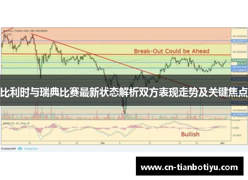 比利时与瑞典比赛最新状态解析双方表现走势及关键焦点