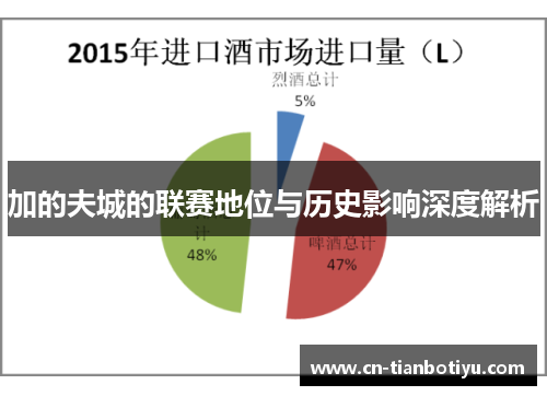 加的夫城的联赛地位与历史影响深度解析 加的夫城的联赛地位与历史影响深度解析